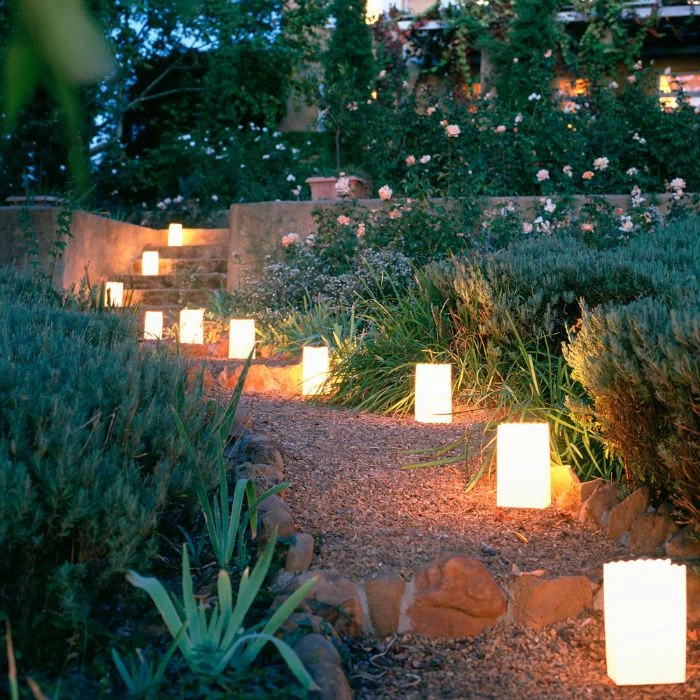 solar led lamps arranged next to flower beds backyard string lights along the pathway