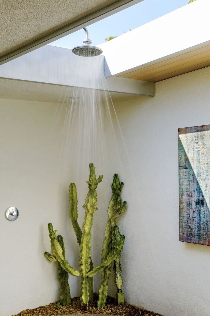 wood outdoor shower open ceiling shower head hanging from it cactuses in the corner