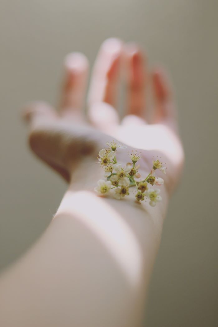 close up photo of female hand under the sunlight discovering you skin type flower on the hand