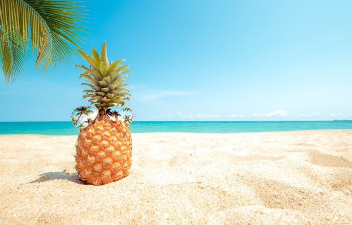 cute pineapple with sunglasses placed in the sand summer wallpaper palm tree ocean in the background