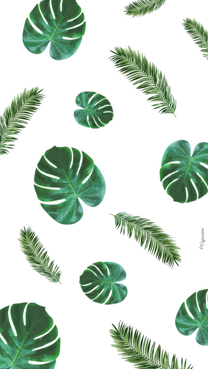 green palm tree leaves drawn on white background beach aesthetic wallpaper