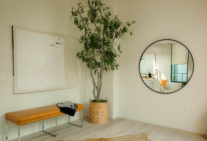 large round mirror on white wall décor ideas for living room next to large plant leather bench