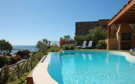 large swimming pool in the backyard installing a swimming pool barbecue lounge chairs next to it