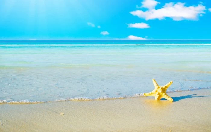 sea star in yellow stuck in the sand summer wallpaper ocean waves in the background