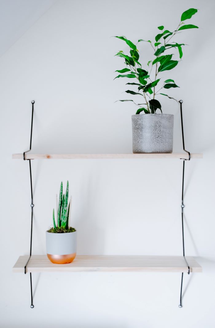 wooden shelves hanging on white wall with two plants on them décor ideas for living room