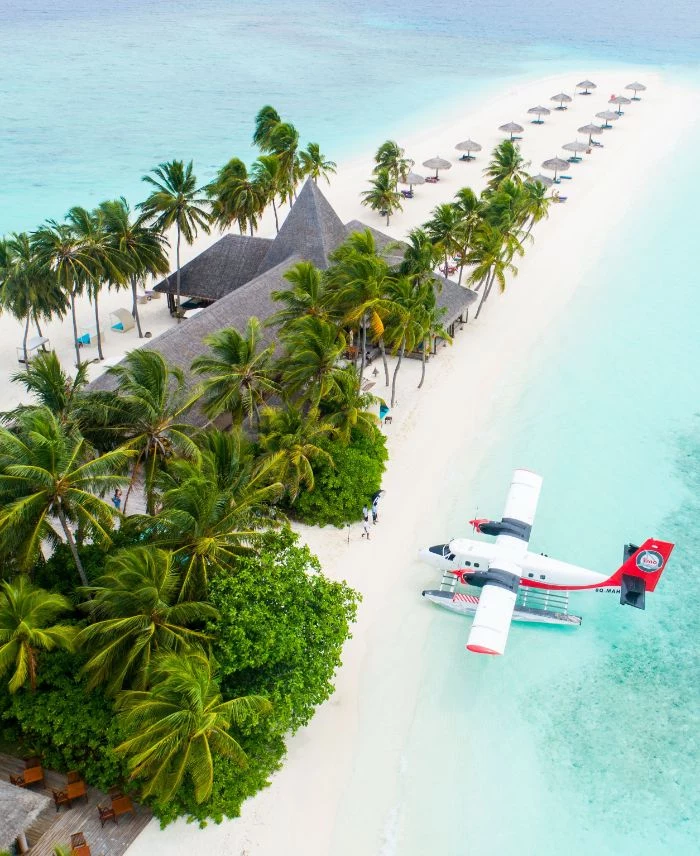 aerial view of plane landing in the clear turquoise water on white sandy beach next to house with palm trees beach background images