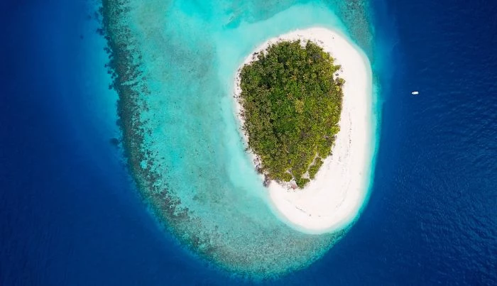 aerial view of small island with white sand lots of trees in the middle surrounded by blue water beach aesthetic