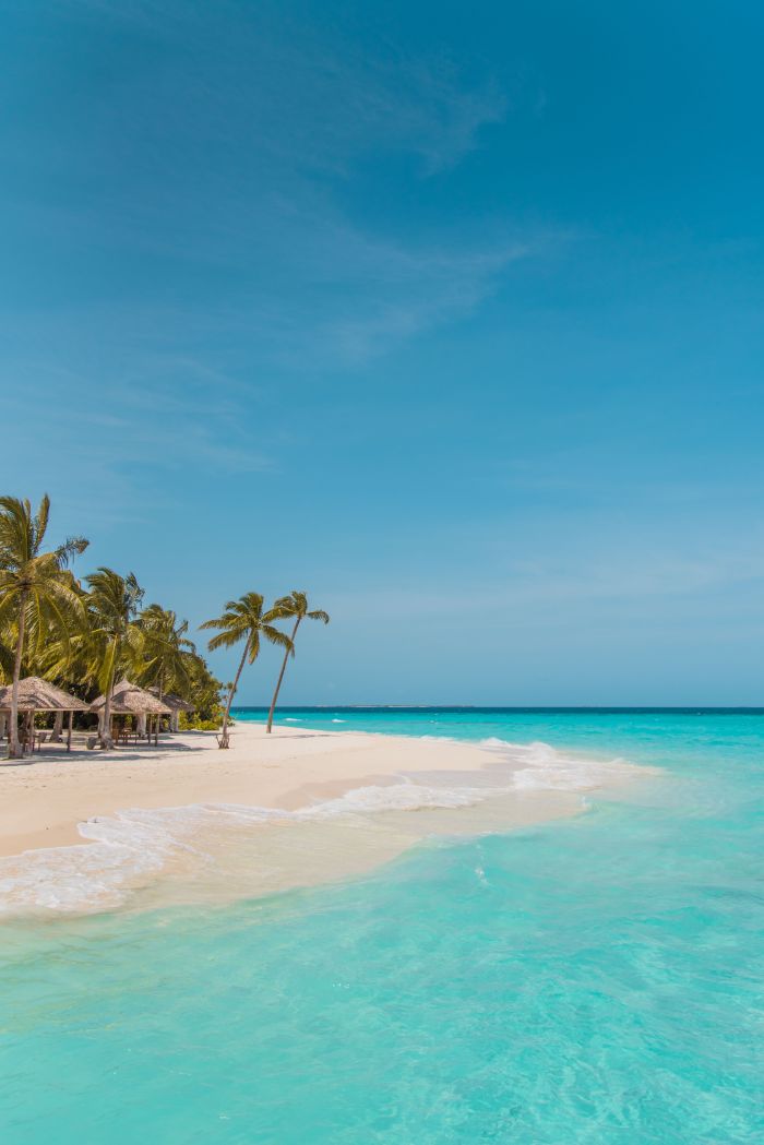 clear turquoise water beach with white sand beach background iphone huts and palm trees on the beach