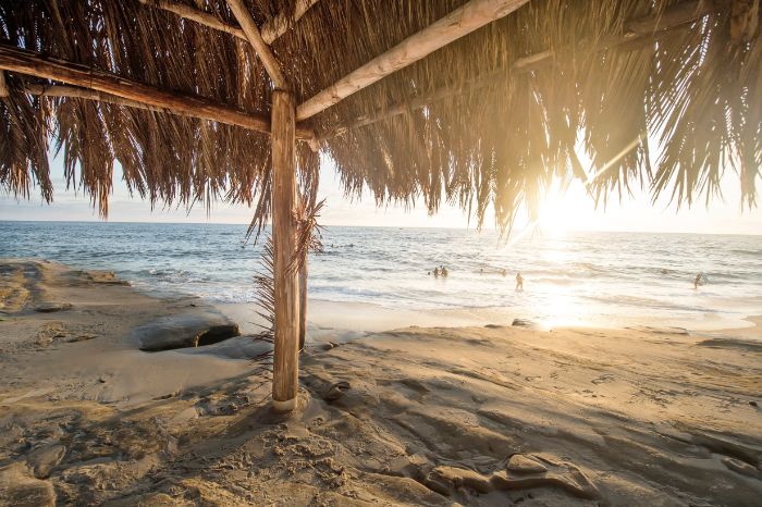 hut made of dried palm leaves beach aesthetic people swimming in the ocean