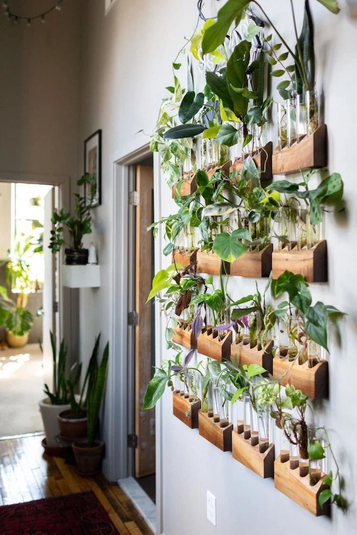 plants hanging from wall mounted wooden pots hallway decor ideas gray wall other potted plants along the hallway