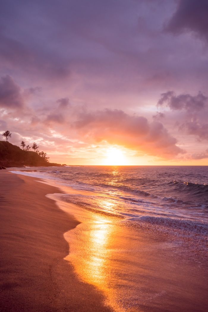 sunset photo of waves crashing into the beach beach background hd tall palm trees on rock going into the water