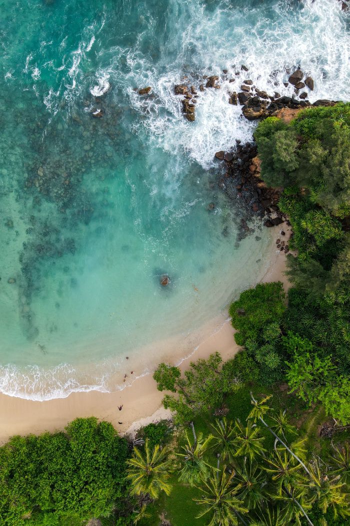 waves crashing into beach rocks surrounded by trees and palm trees beach background images