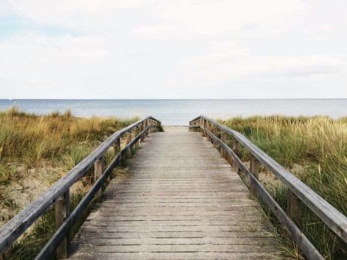 wooden pathway leading to the beach surrounded by shrubs beach aesthetic wallpaper ocean in the distance