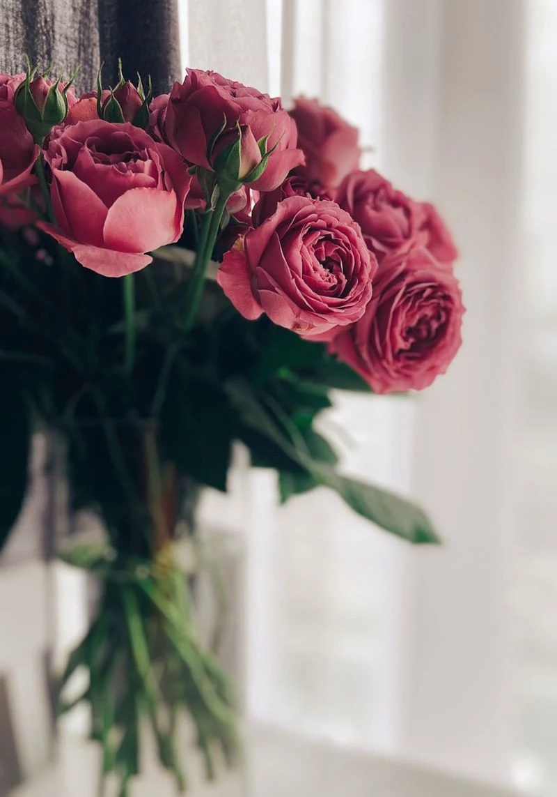 bouquet of pink roses in vase send flowers