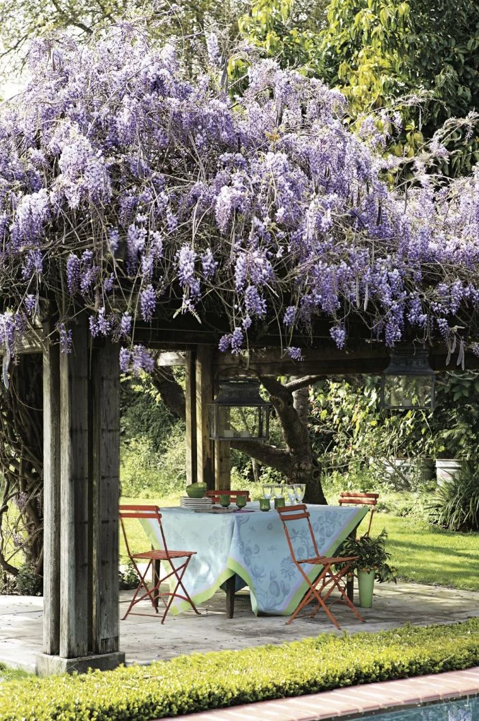 flowers covering wooden pergola dining area underneath backyard patio ideas on a budget four wooden chairs