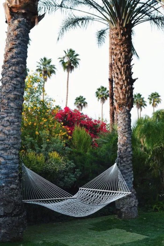 hammock hanging from two tall palm trees backyard patio designs lots of trees and flowers