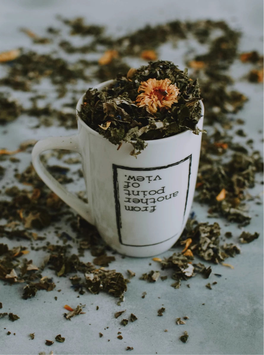 wellness tea plantes to stay healthy better mood and shape