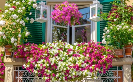 balcony covered with flowers low maintenance plants