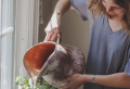How To Harvest Basil: How To Take Care, Harvest and More