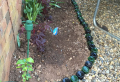 How to recycle materials and create garden edging for your backyard