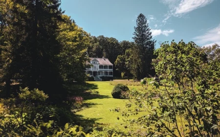 house with big garden green grass big house