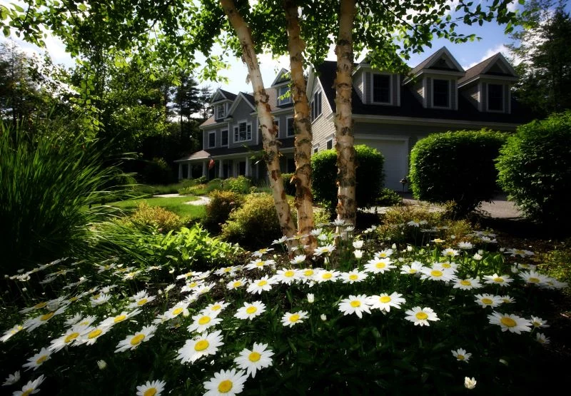 landscape design boost the value of your home