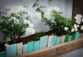 How to recycle materials and create garden edging for your backyard