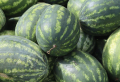 How to tell if a watermelon is ripe – a few easy hacks