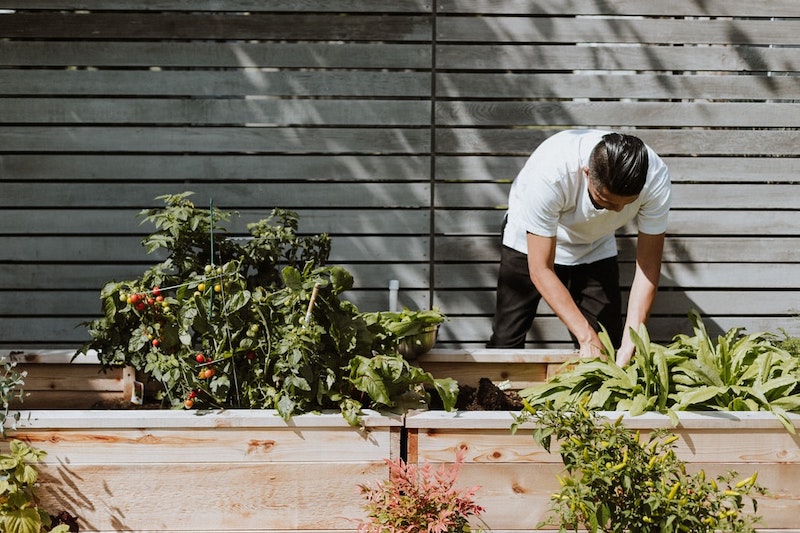 man who is doing gardening white t shirt black pants