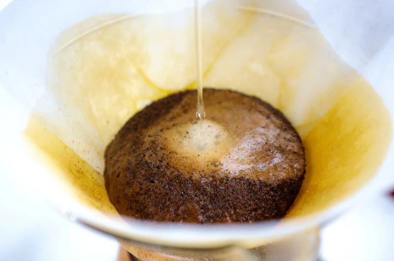 brewing coffee coffee grounds for plants