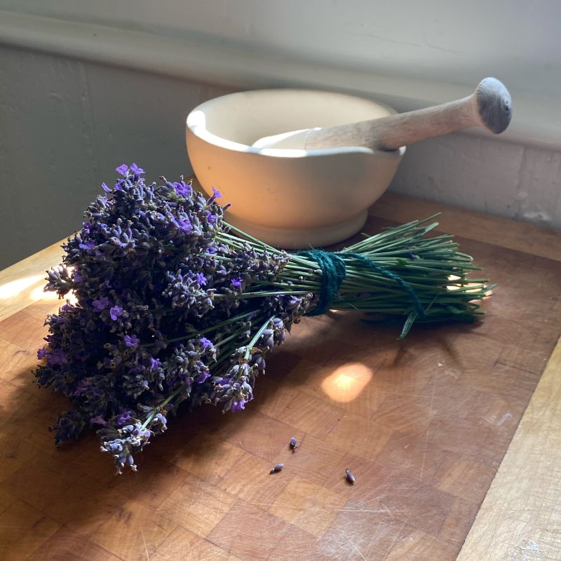 dried lavender plant flowers next to bowl