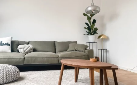 find a sofa that fits gray sofa