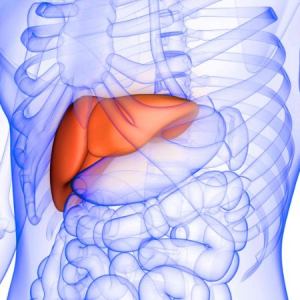 How to detox your liver with natural remedies