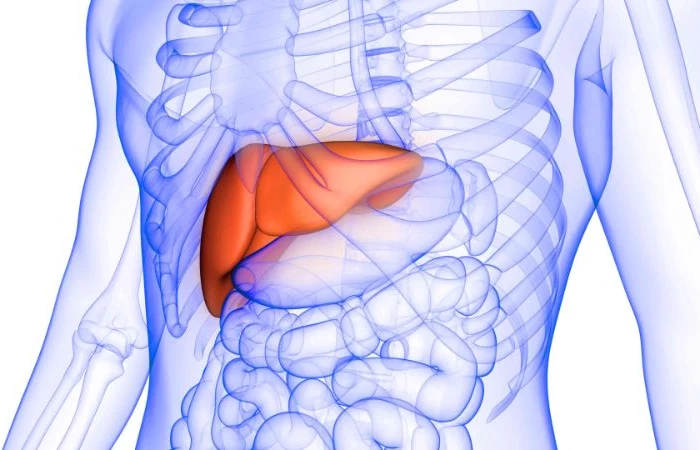 illustration of liver foods for liver health