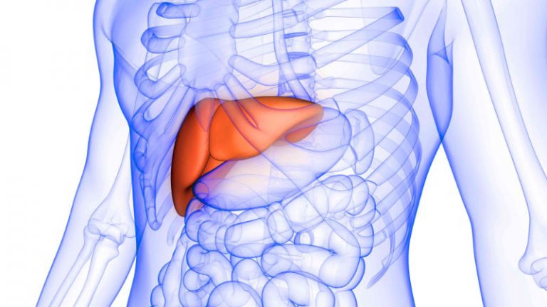 How to detox your liver with natural remedies - archziner.com