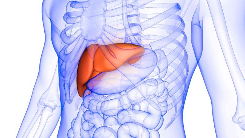 illustration of liver foods for liver health