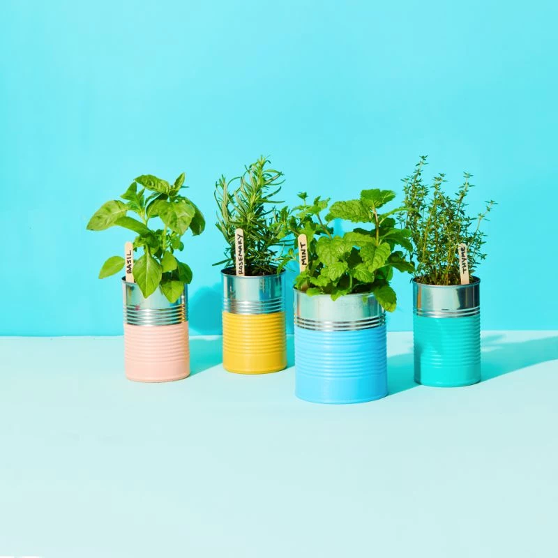 indoor herb planter colorful planters
