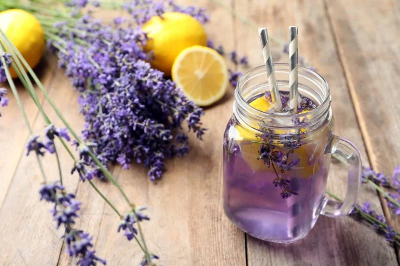 lavender tea lavender plant care glass jar