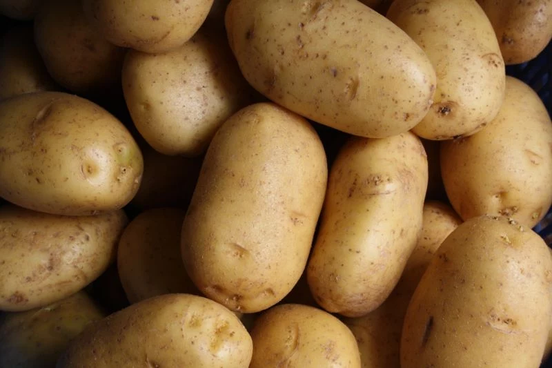lots of potatoes how long to boil potatoes