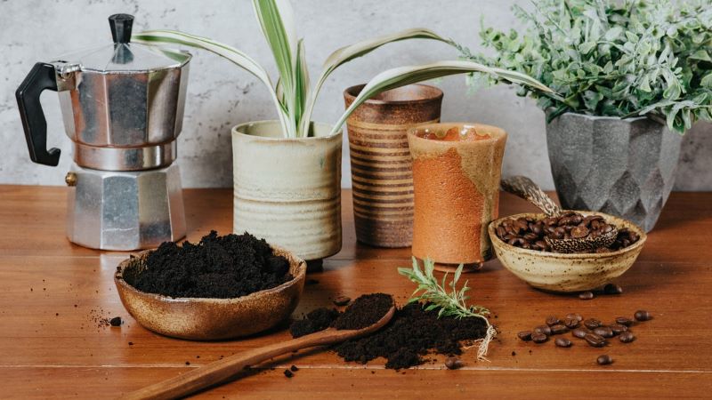 potted plants coffee grounds in garden wooden table