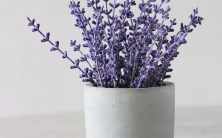 white ceramic pot growing lavender inside