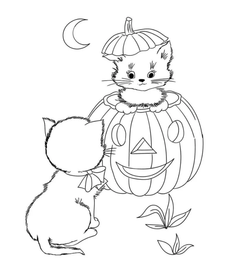 cat inside pumpkin halloween coloring pages