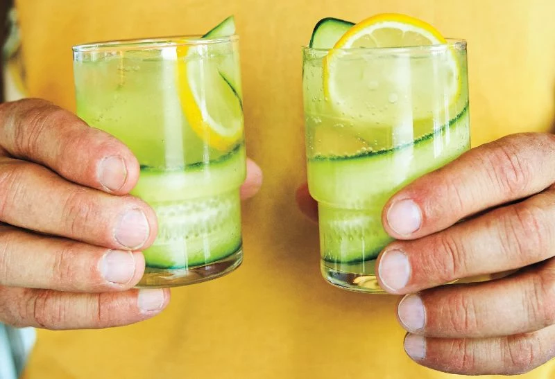 cucumber slices in two glasses gin cocktail recipes