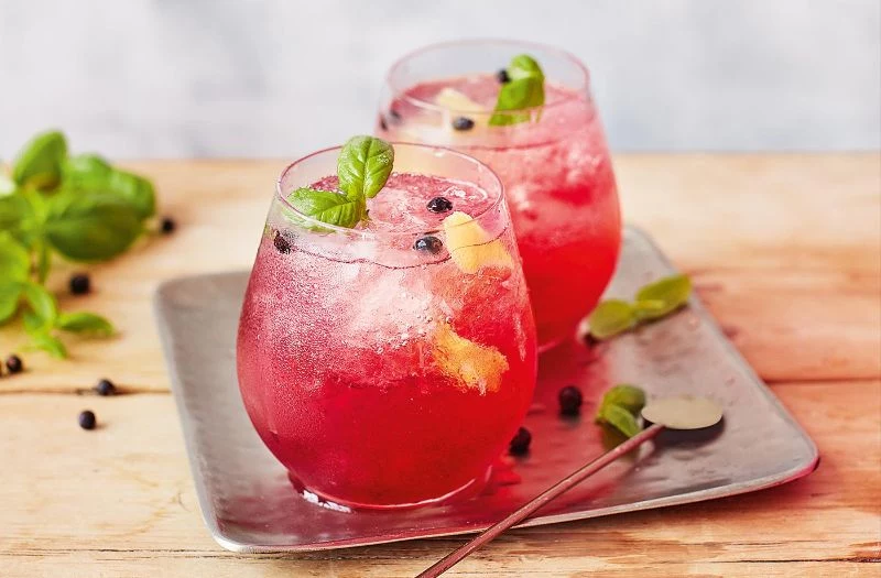 two glasses gin drink recipes with cranberries
