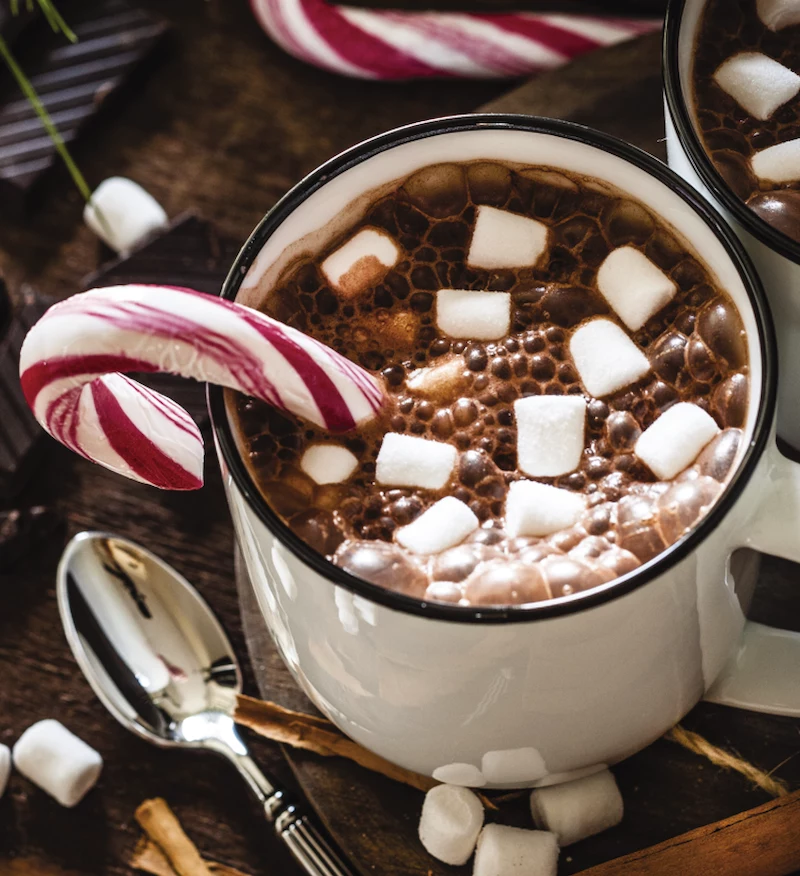 marshmallows candy cane hot cocoa chocolate christmas