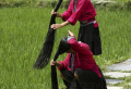 How to use rice water for hair growth: Tips & tricks