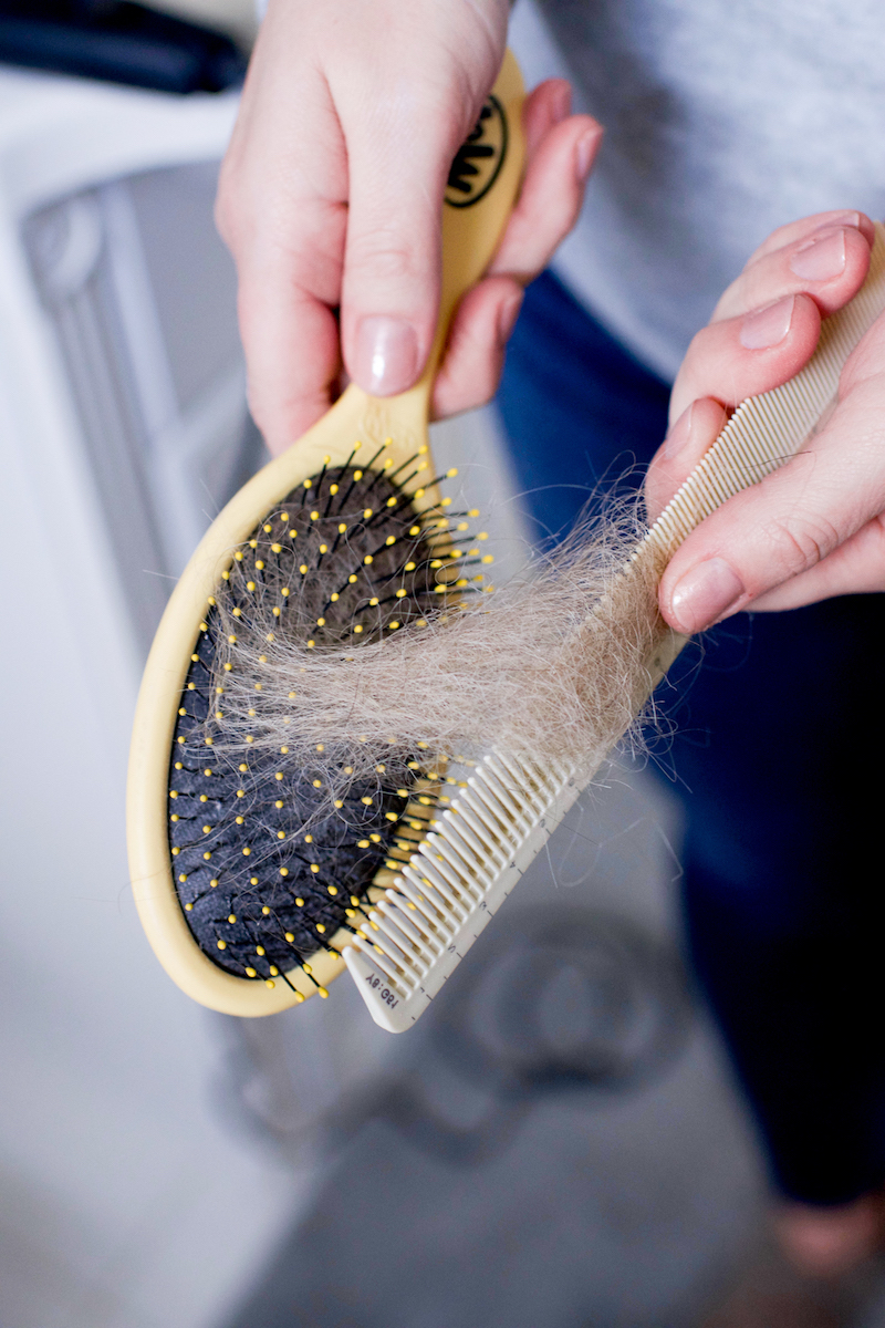 easy solutions how to get lint out of hairbrush fast
