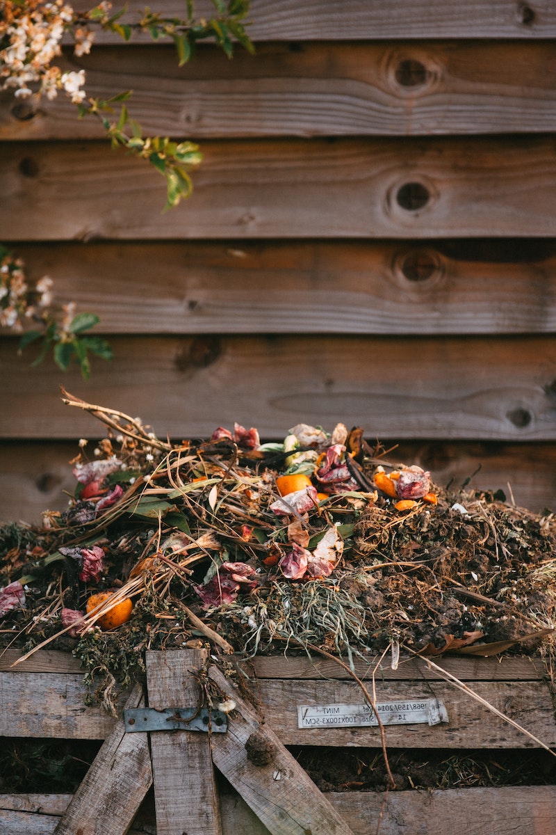 putting old used tea bags in your comport bin hack