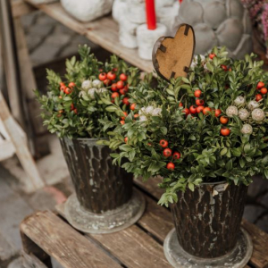 10 Easy Ways to Add Seasonal Decor to Your Home