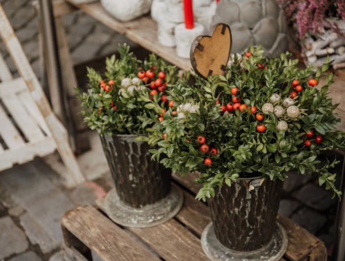 Protected: 10 Easy Ways to Add Seasonal Decor to Your Home